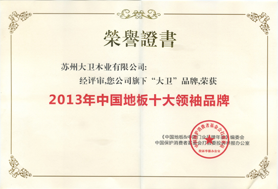 大衛(wèi)地板榮獲“2013年中國地板十大領(lǐng)袖品牌”.jpg