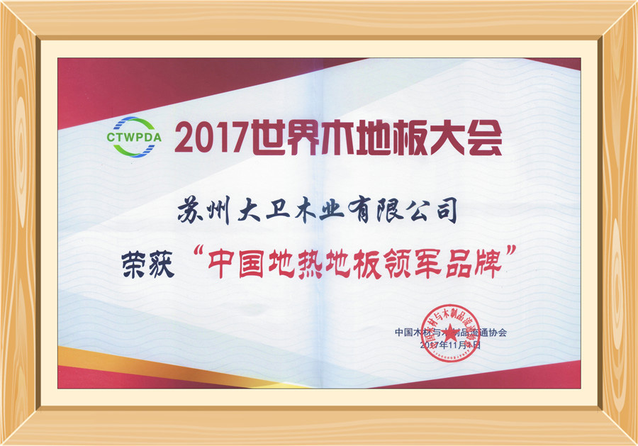 大衛(wèi)地板榮獲“中國(guó)地?zé)岬匕孱I(lǐng)軍品牌”0.jpg